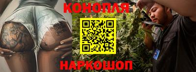 твердый Будённовск