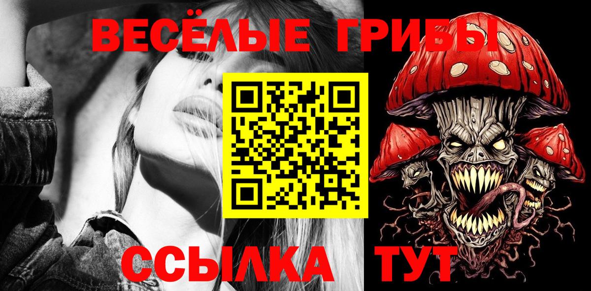 купить наркоту  Вход с VPN  Тайшет  Псилоцибиновые грибы MAGIC MUSHROOMS 