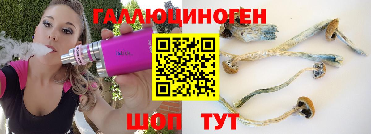 Галлюциногенные грибы MAGIC MUSHROOMS Тайшет